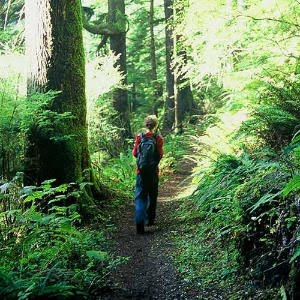 [oregon-hikes-m.jpg]