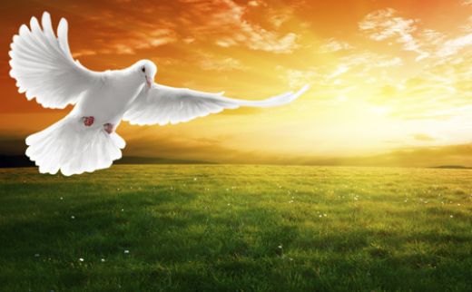 Funeral Soprano Singer