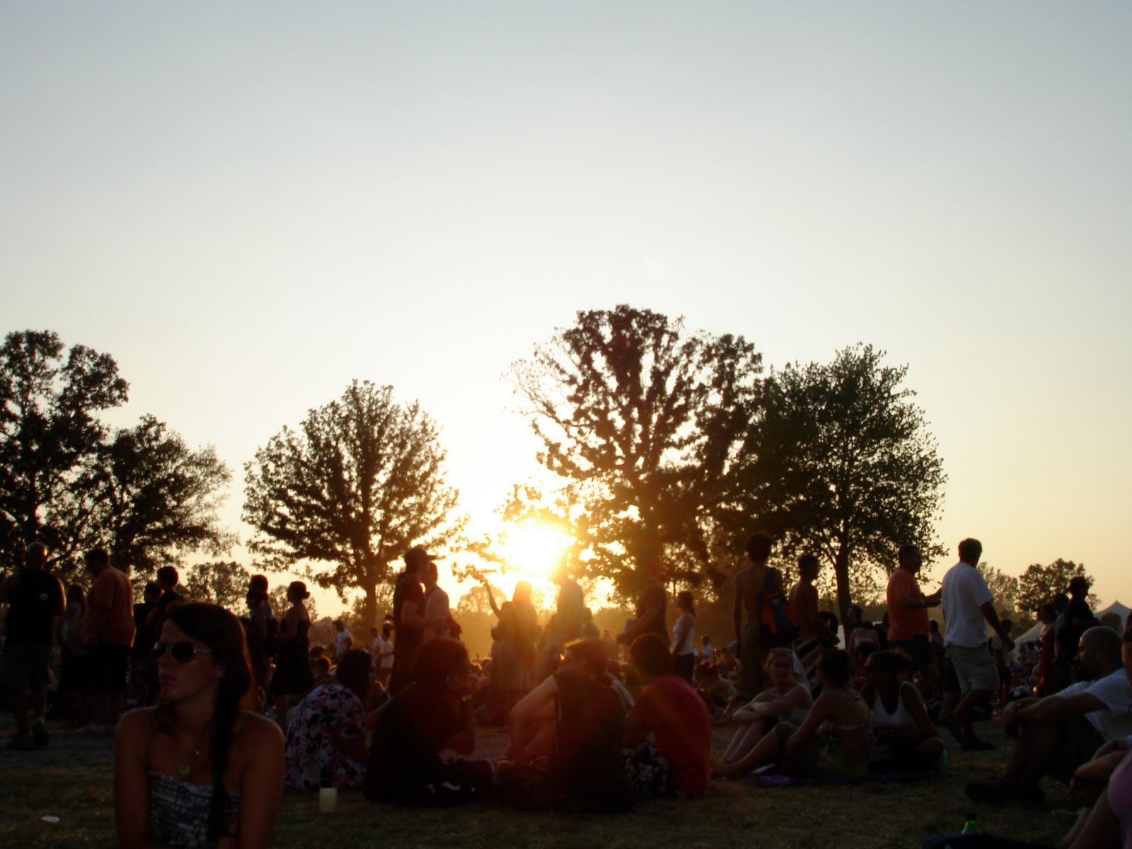 dog training classes philadelphia