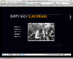 D.S.E. Flash