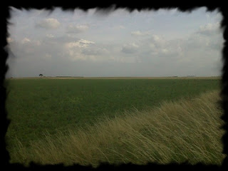 The battlefield looking from the Lancastrian right towards the Yorkist lines