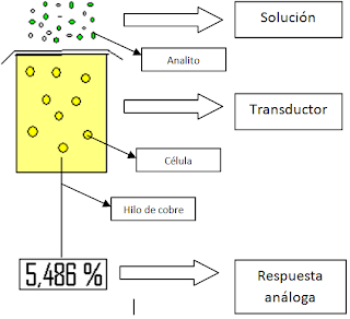 Lamizil del hongo de las uñas la instrucción de la aplicación el precio las revocaciones