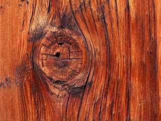 Wallpaper Wood VISTA 23
