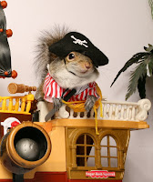 pirate_squirrel.jpg