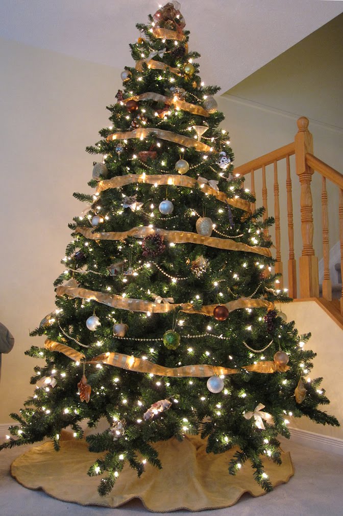 a family tree of holidays christmas trees christmas a family tree of holidays christmas trees christmas