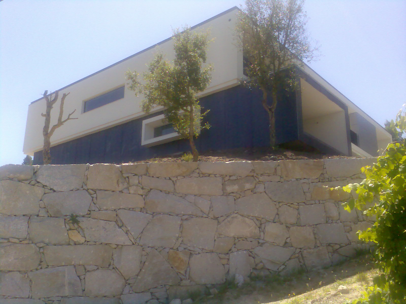 [CasaPinheiro.jpg]