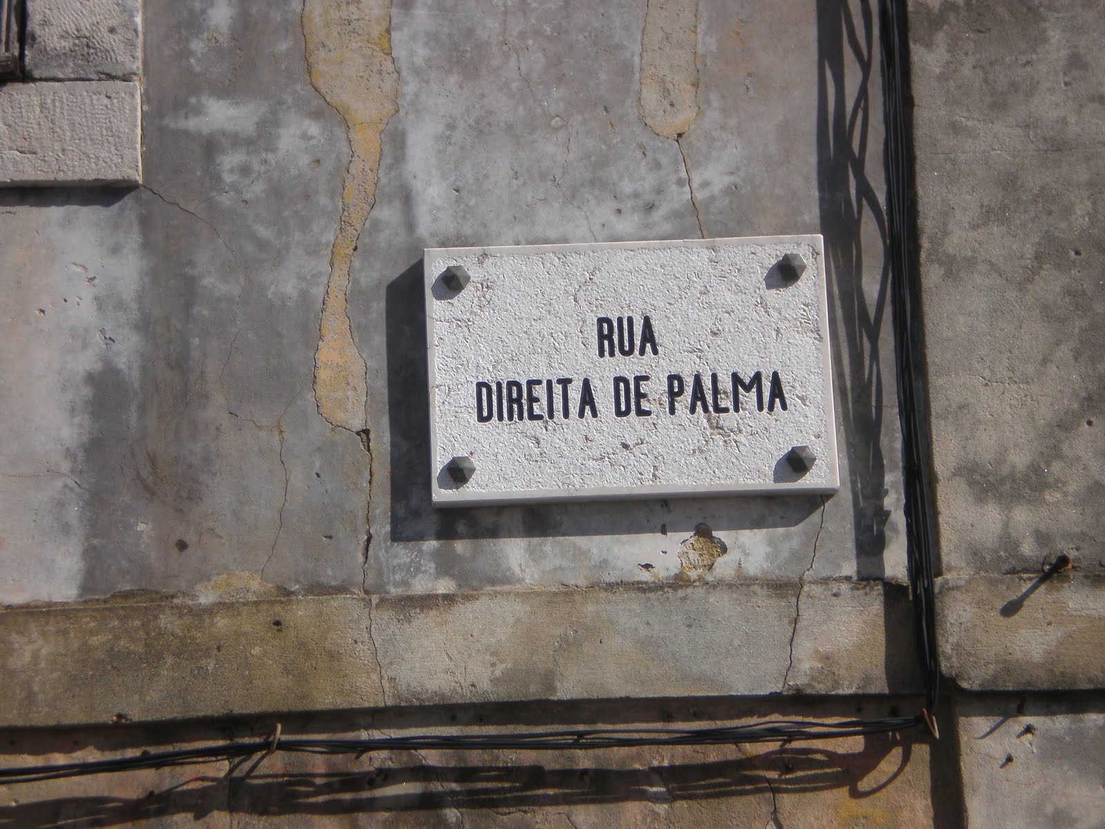 [placas500.JPG]