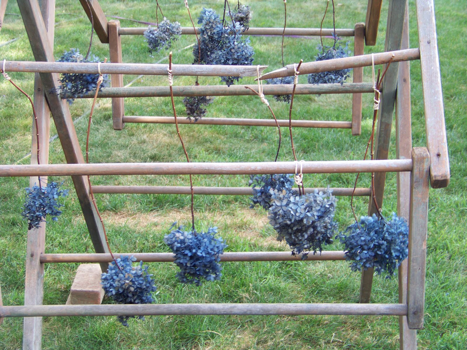 The Olde Stone House Dyeing Hydrangeas