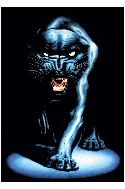 Black Panther Black Panther