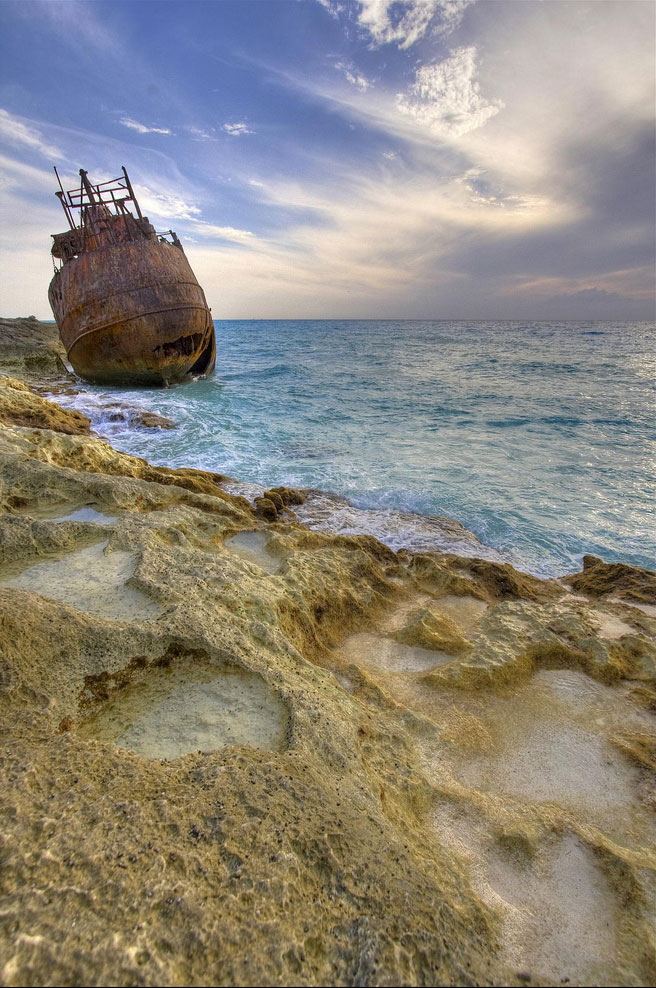 [2340968951_dc791c98f2_b.jpg]