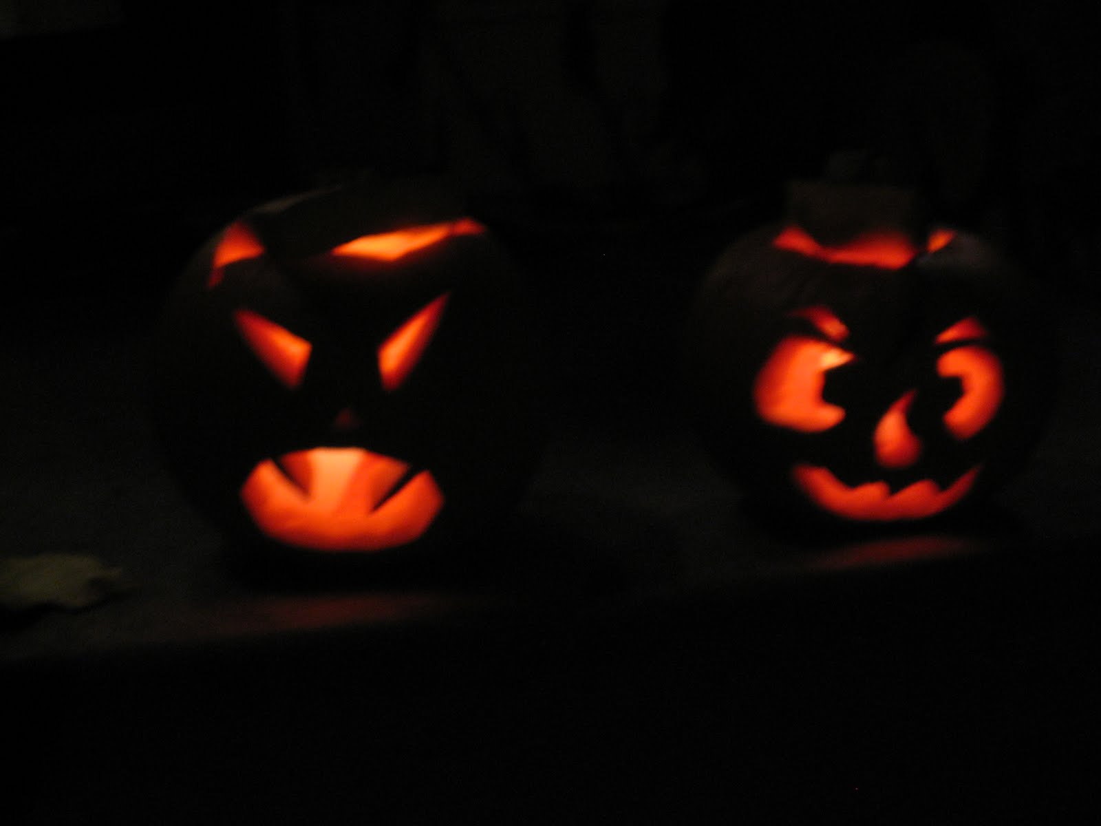 [IMG_3173.JPG]