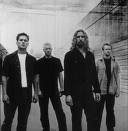 Nickelback Rocks