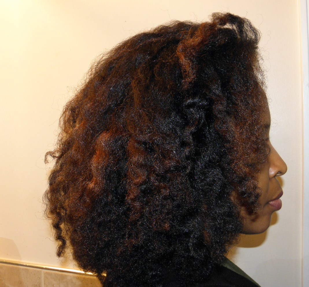 All Natural Hair Blowout Twistout