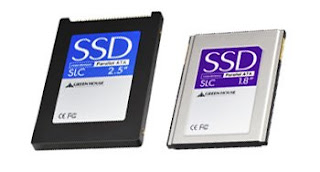Green-House SSDs