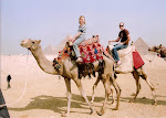 Riding the camels in Egypt