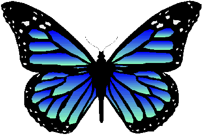 [Butterfly_Tattoo.gif]