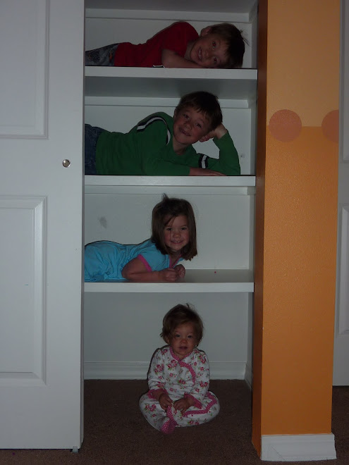 The Cole kids on their Daddy's shelves he made for their toy room
