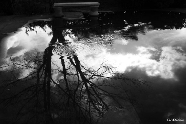 [El+reflejo+de+la+vida...jpg]