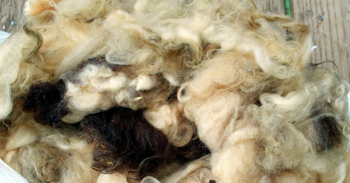 the star box Howto Wash a Raw Fleece