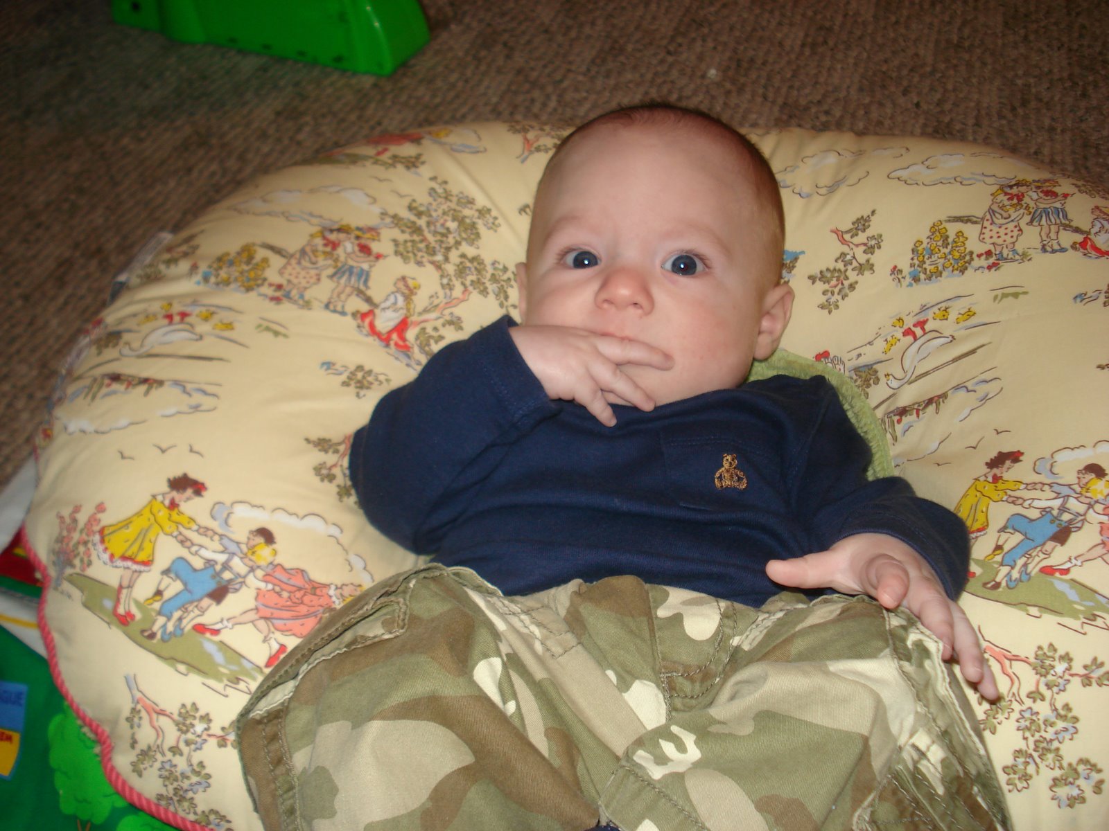 [Camo.JPG]