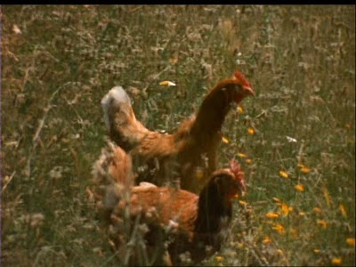 [PDVD_012.JPG]
