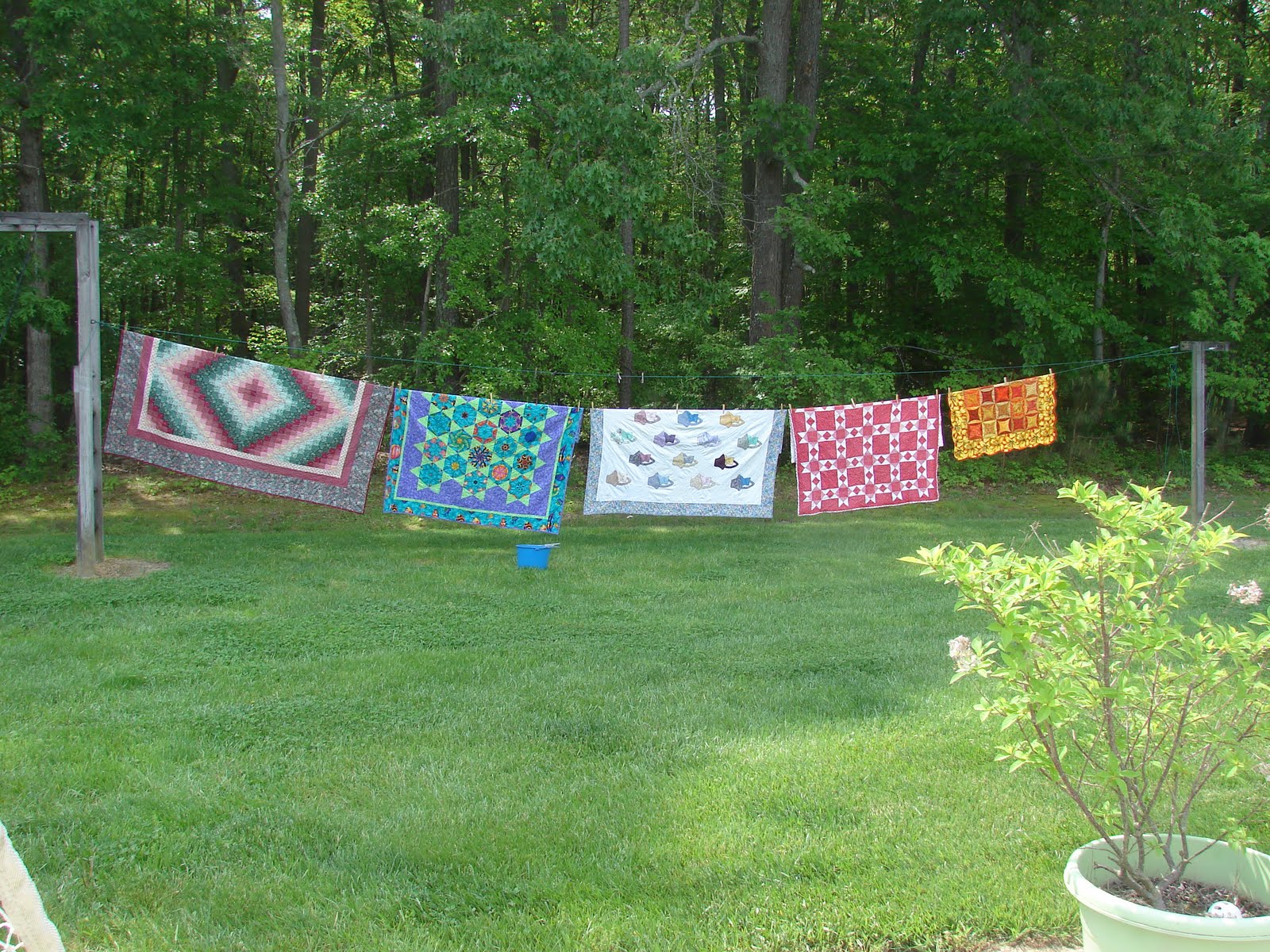 Quilt Vine Birthday Party