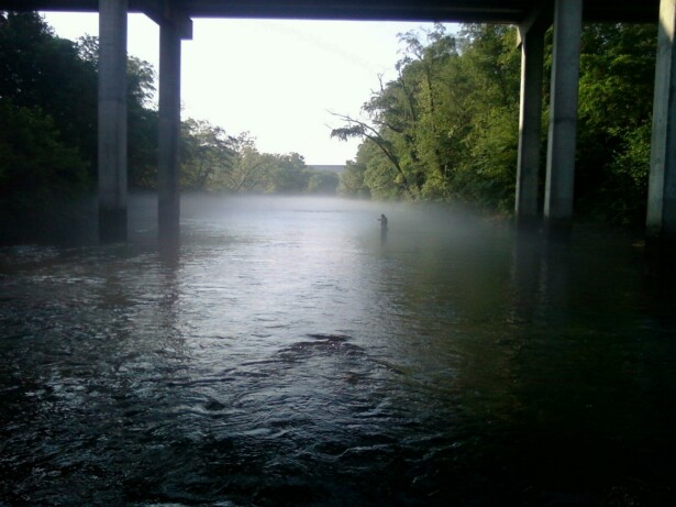 [Image: toccoa+3.jpg]
