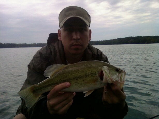 [Image: largemouth+bass+(2).jpg]