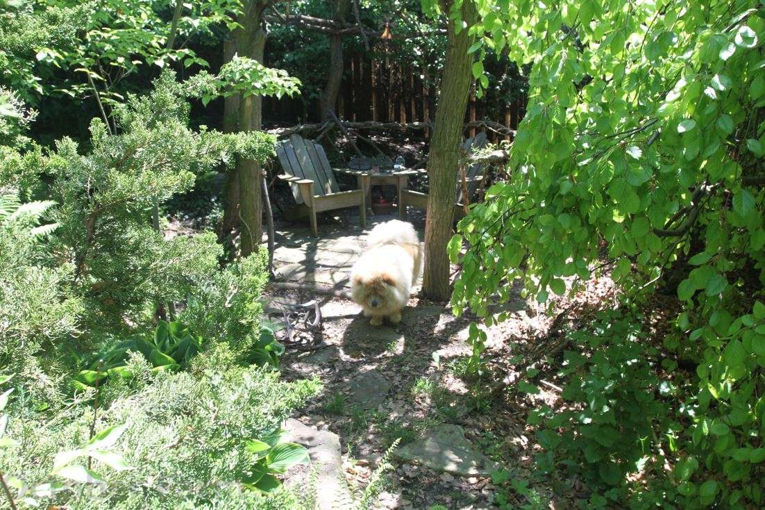 DIY Garden Decorations