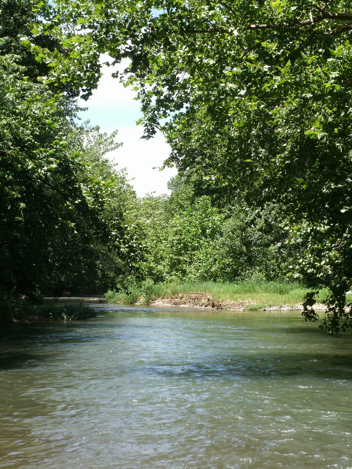 Beagle Bay RV Haven and Campground Floating Center Creek