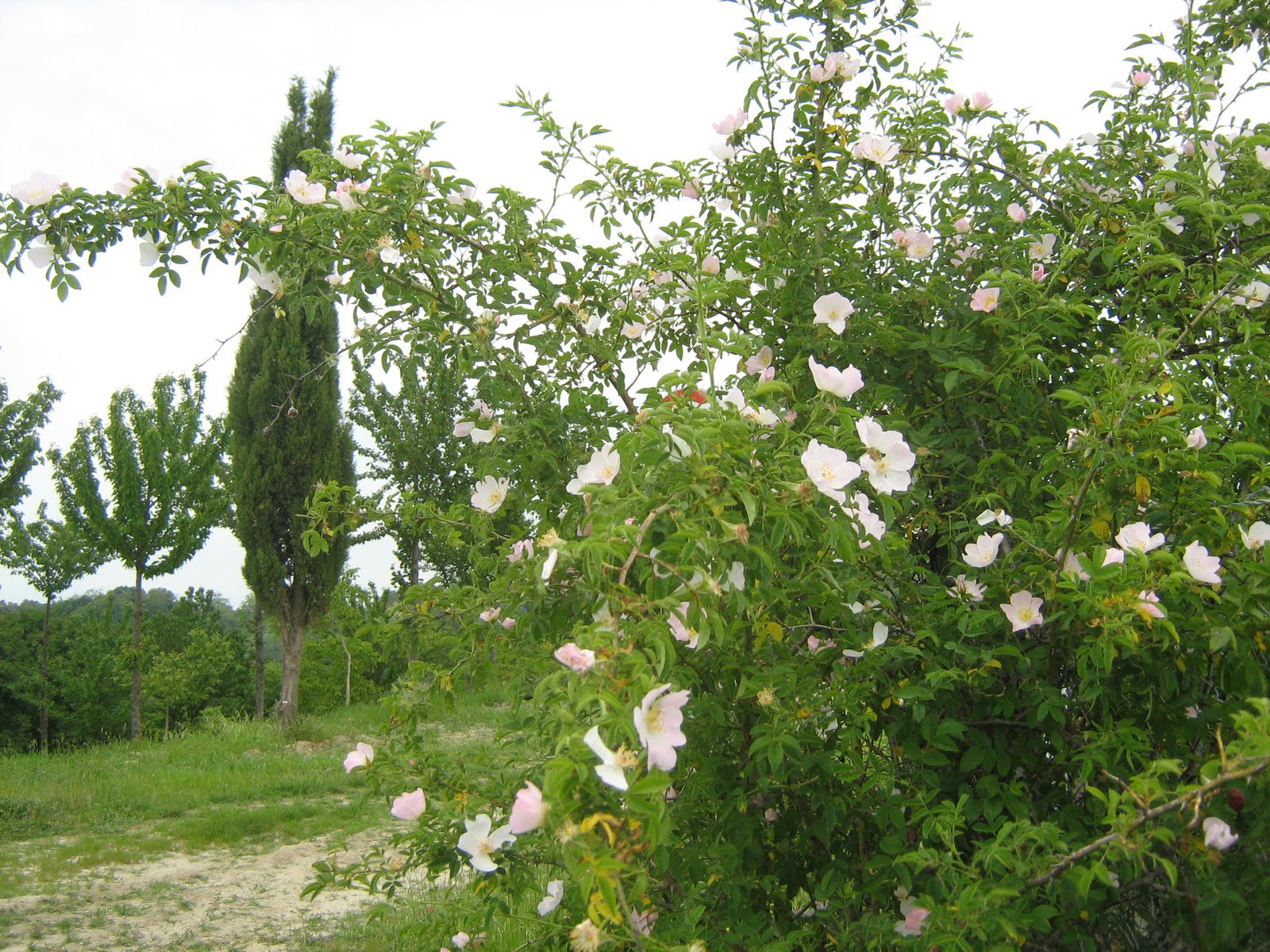 [IMG_1744.JPG]