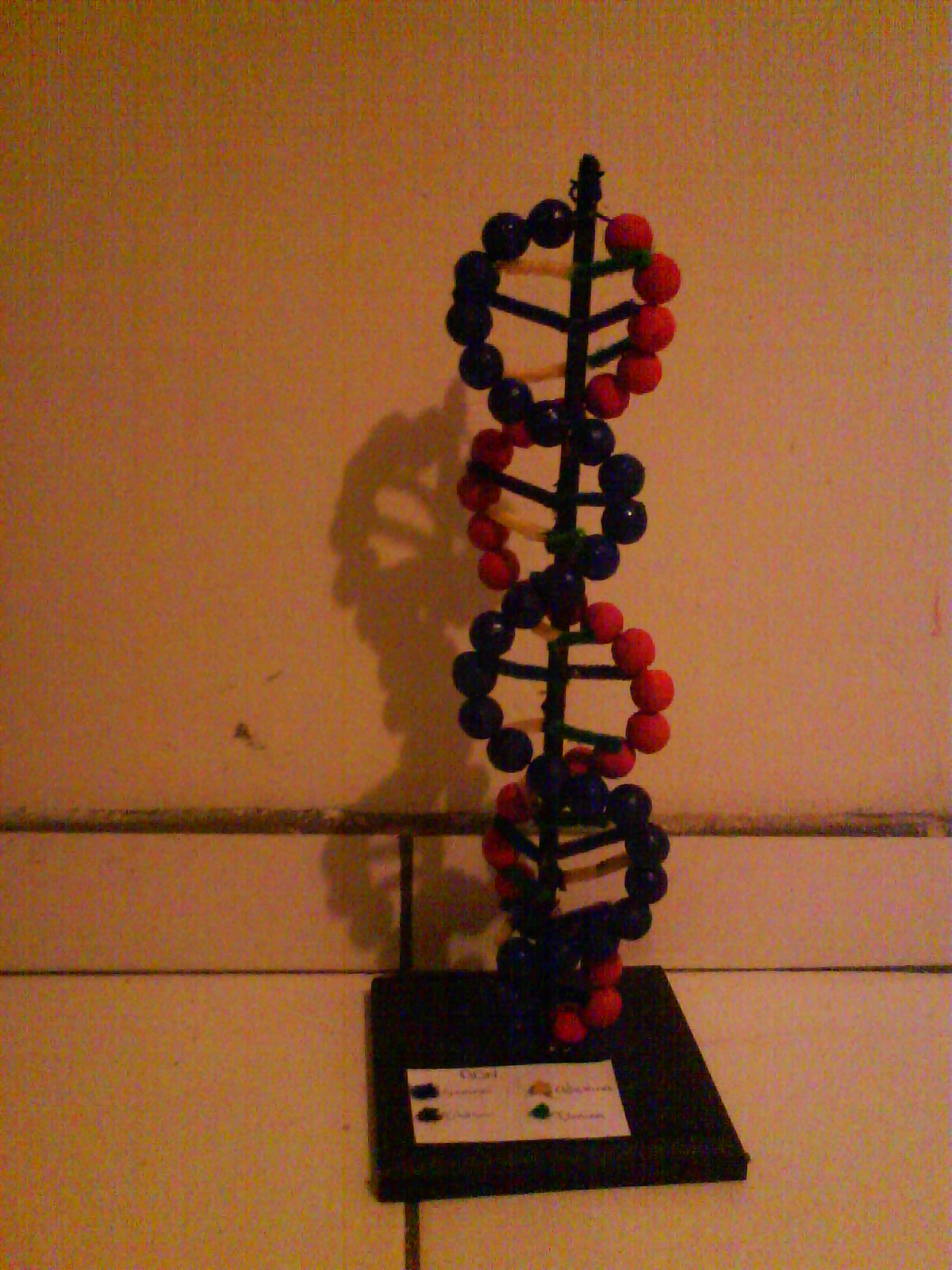 Maqueta de la estructura del ADN - Taringa!