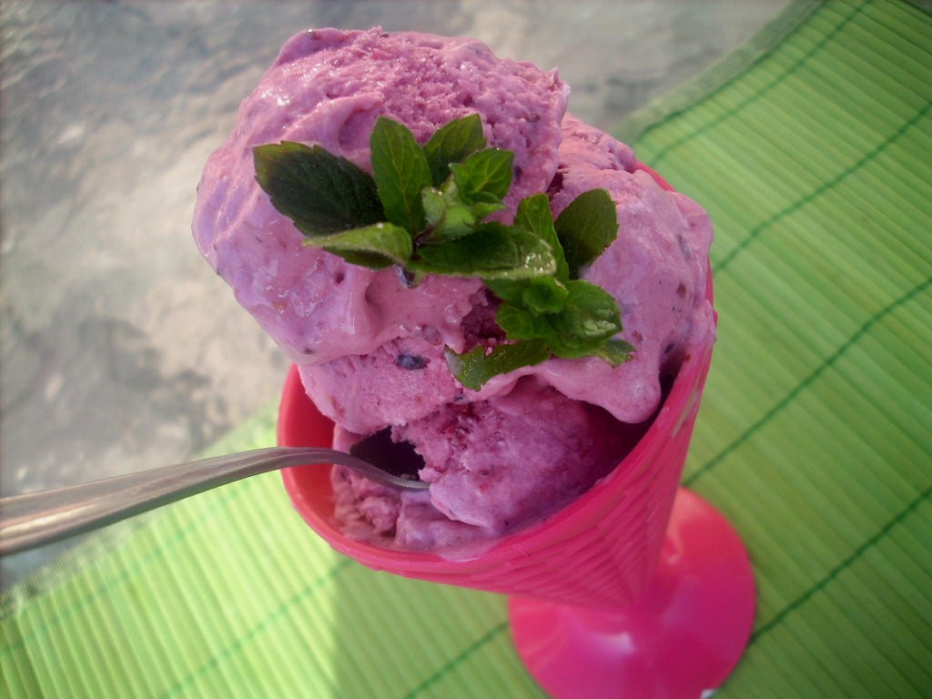 Canela kitchen (gloria) Raspberries and yogurt Ice Cream