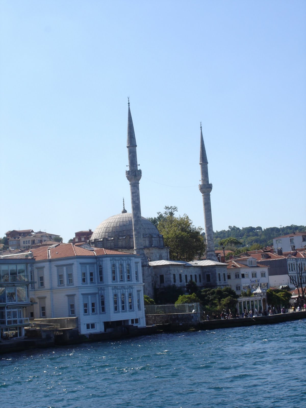 [DSC00140.JPG]
