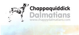 Chappaquiddick Dalmatians