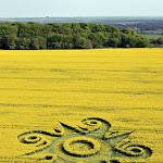100 Foto Crop Circle dari Seluruh Dunia - www.digaleri.com gambar crop circle, foto crop circle, alien, ufo, lingkaran tanaman, www.digaleri.com