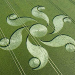 100 Foto Crop Circle dari Seluruh Dunia - www.digaleri.com gambar crop circle, foto crop circle, alien, ufo, lingkaran tanaman, www.digaleri.com