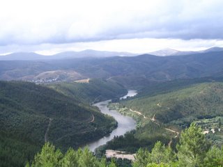 [IMG_7626.JPG]