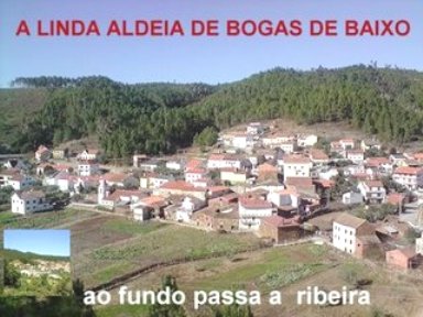 [bogas+0.JPG]