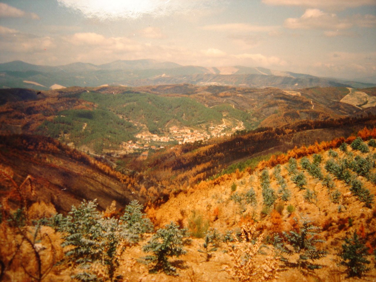 [DSC00508.JPG]