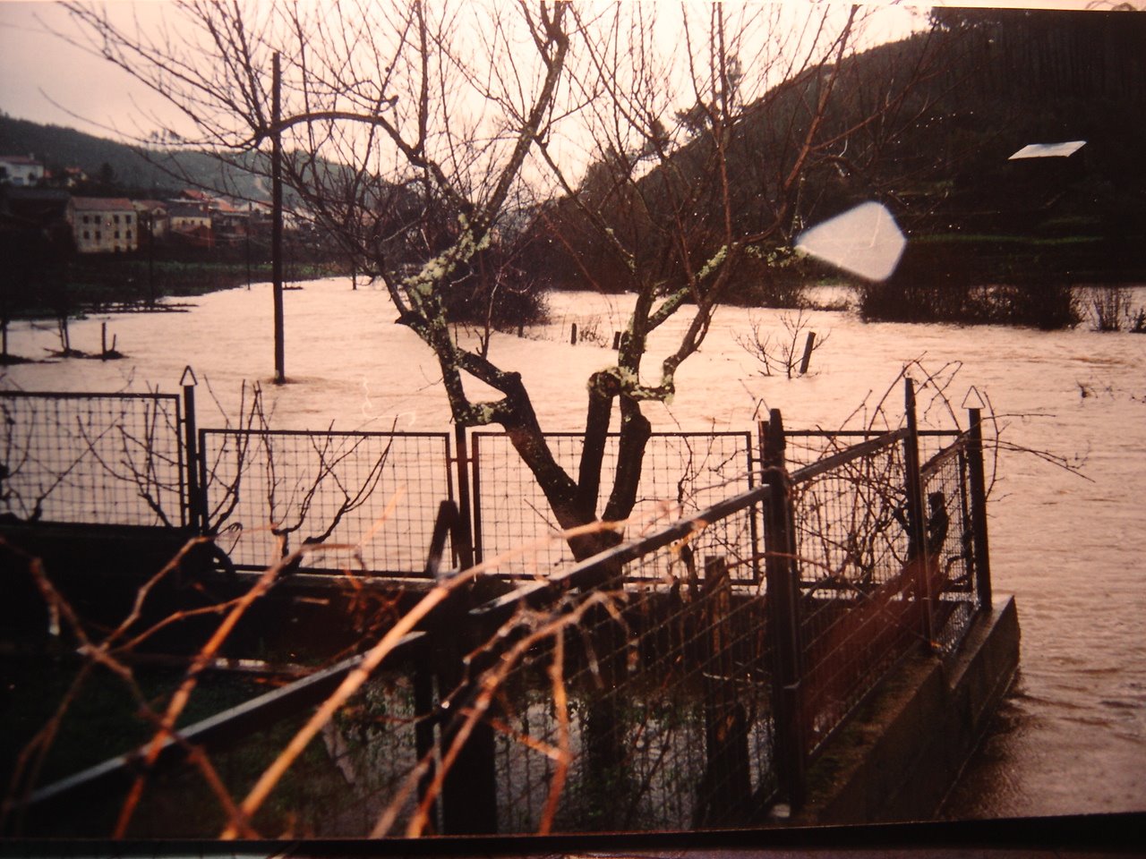[DSC00517.JPG]