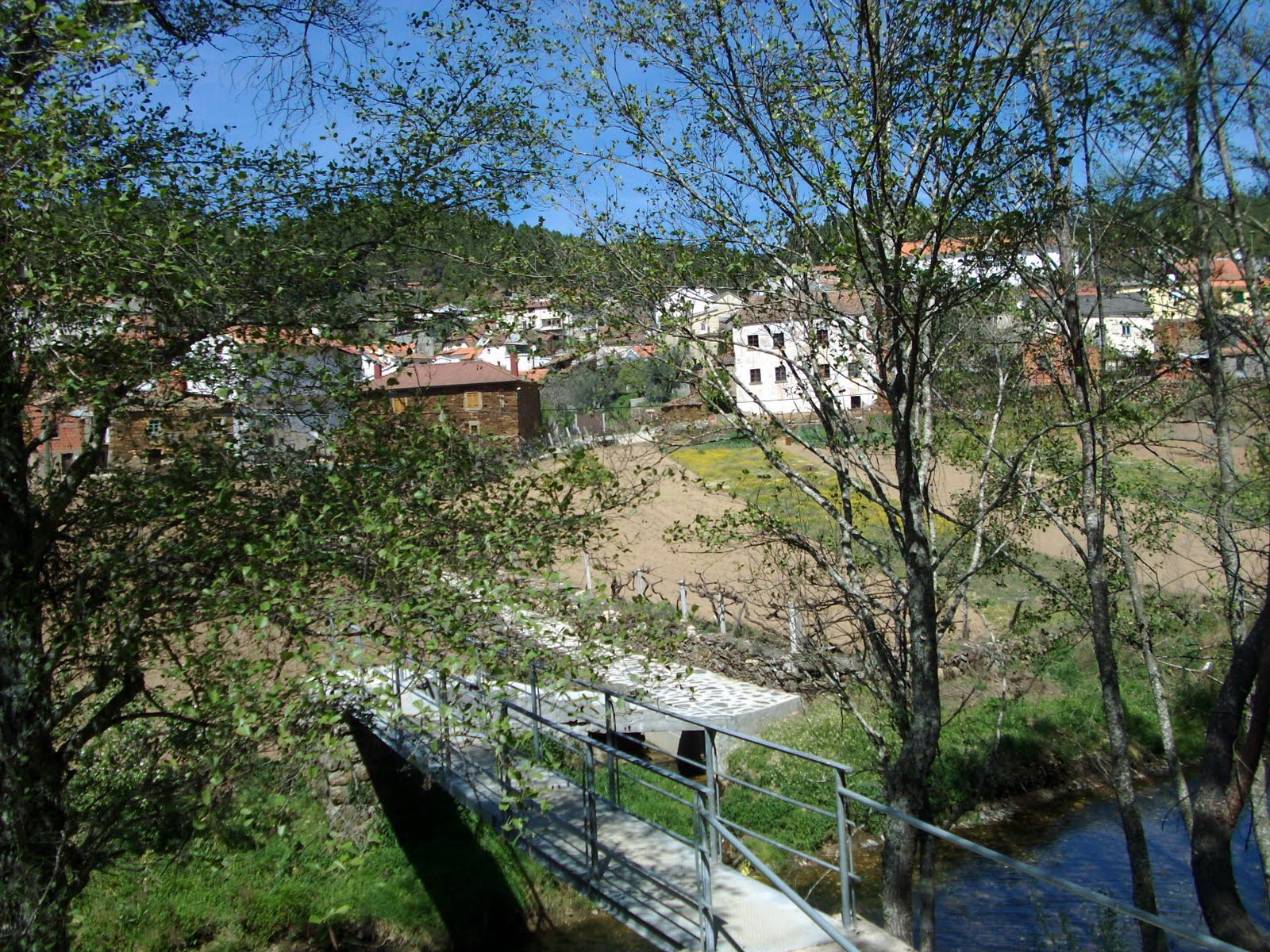 [HPIM2539.JPG]