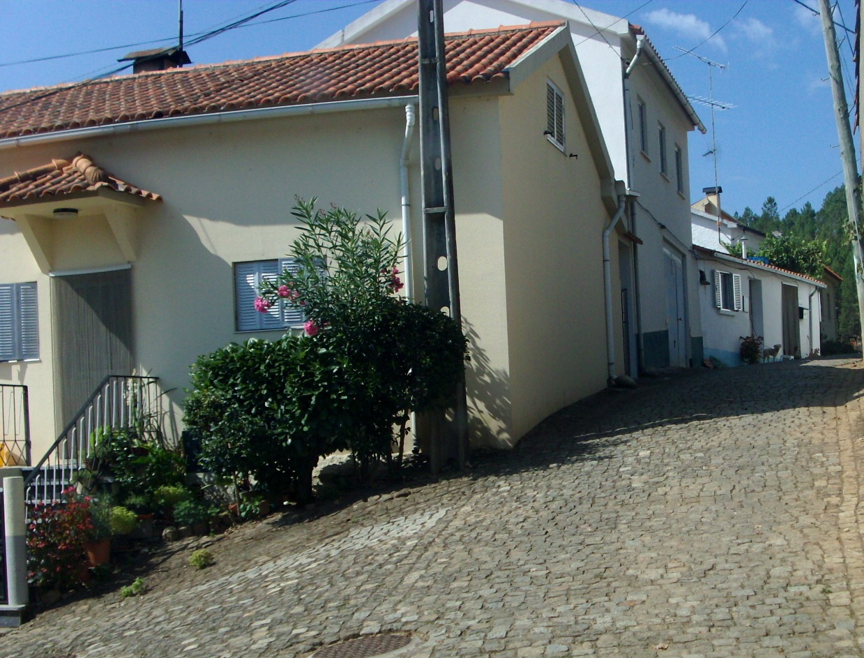 [HPIM3995.JPG]