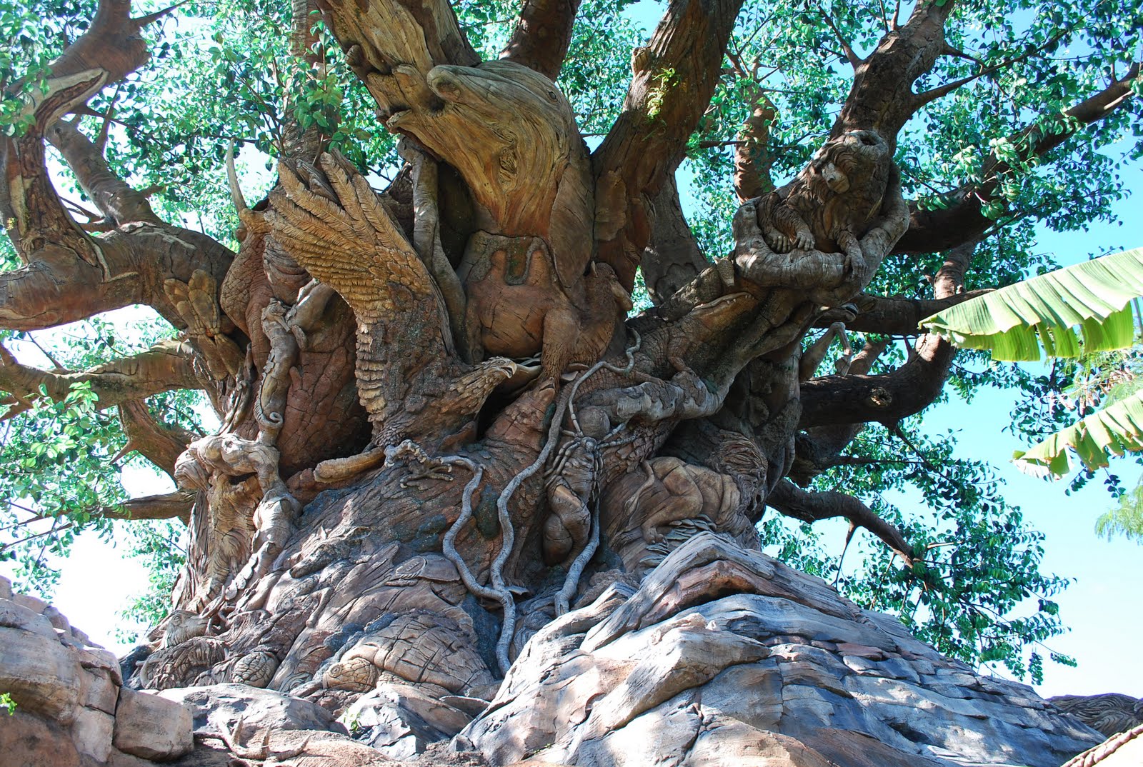 Turner Family Blog: Animal Kingdom - day 5