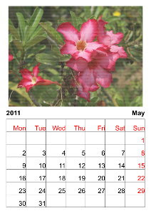 2011 Year Calendar Printable on Printable Calendar 2011  January To December 2011 New Year Calendar