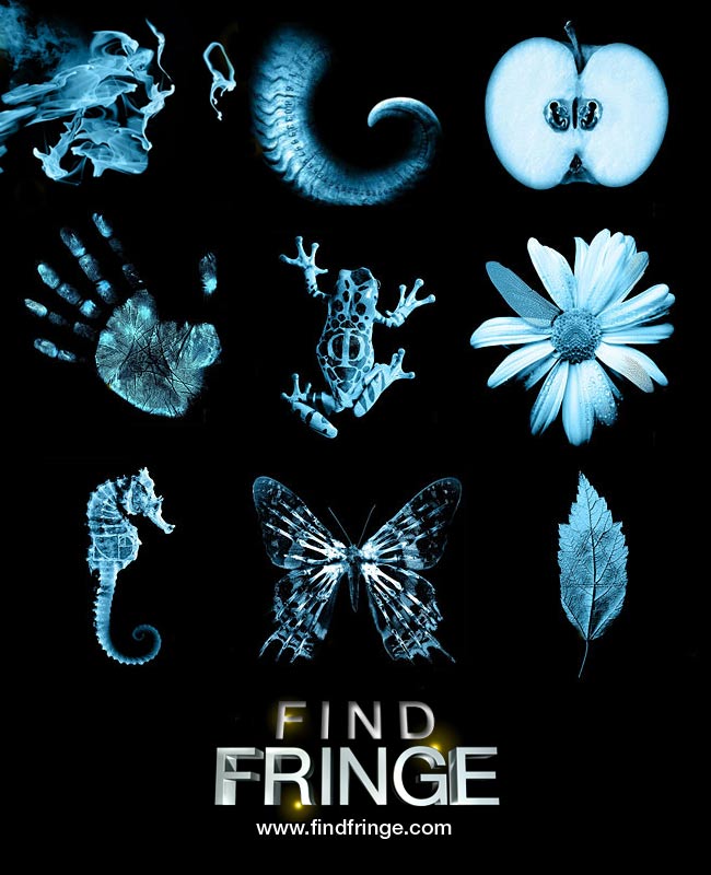 Fringe 2