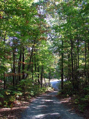 driveway 101508