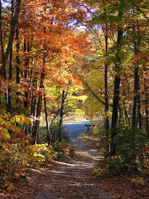driveway fall 2008