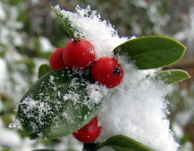 Let It Snow!