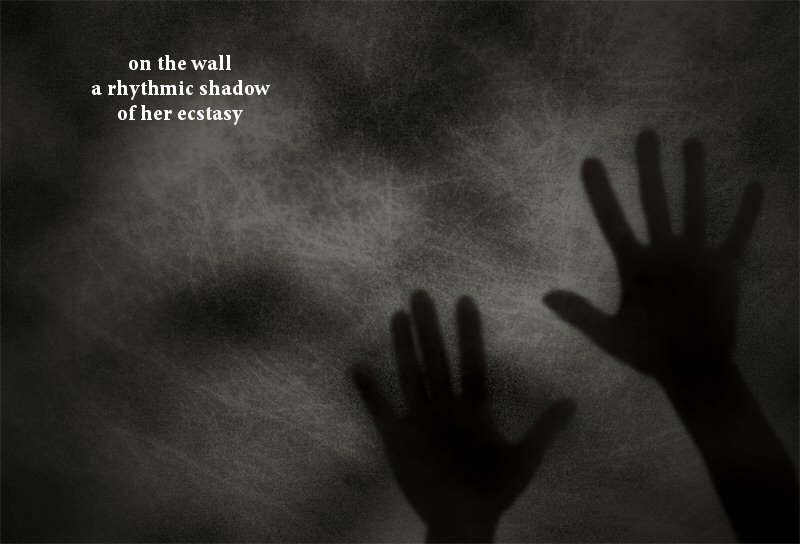 Senryu Poems